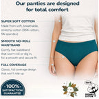 Seduva Pack of_3 Women's Cotton Solid Hipster Panty (Multicolor)
